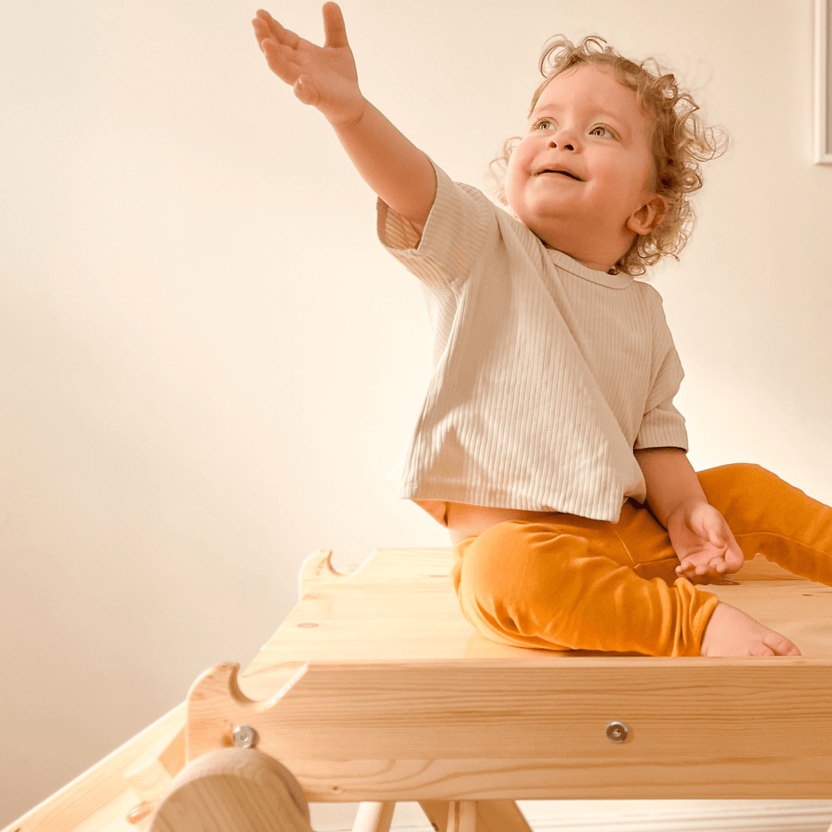 Ladder with a Slide-Climbing Wall - Natural Wood