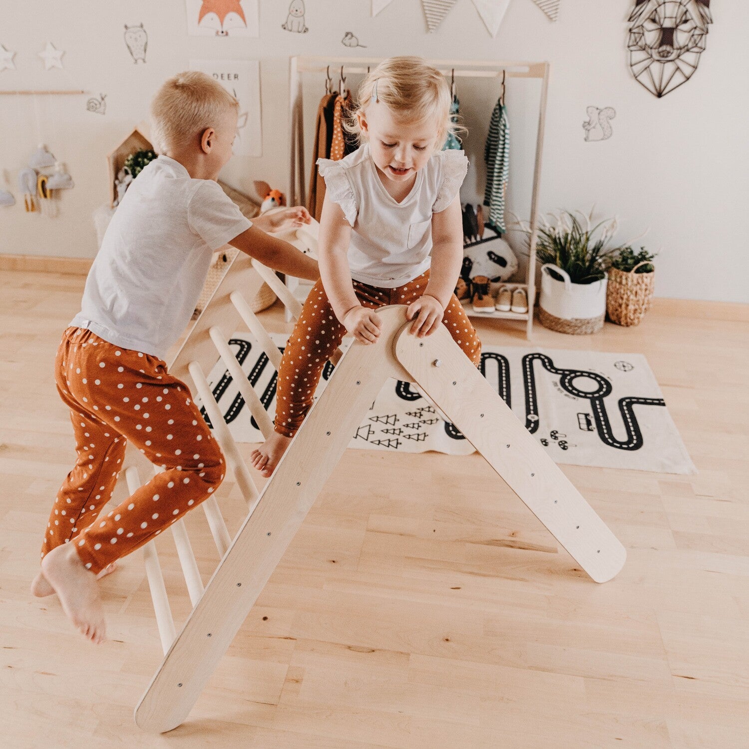 Montessori Climbing Triangle